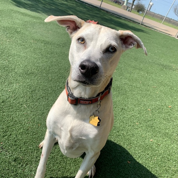 Meet your Posher, Shannon - Picture 3 of 5